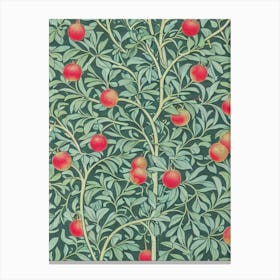 Pomegranate Vintage Botanical Fruit Canvas Print