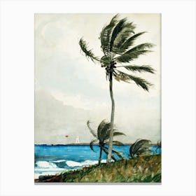 Bahamas Palm Tree Ocean Painting Canvas Print