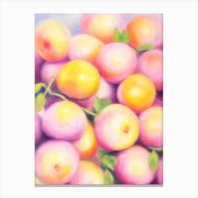 Boysenberry Painting Fruit Canvas Print