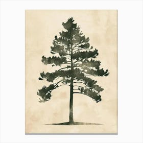 Balsam Tree Minimal Japandi Illustration 1 Canvas Print