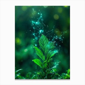 Green Leaves In The Forest Canvas Print