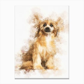 Chinese Crested Dog 1 Canvas Print