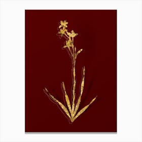 Vintage Bugle Lily Botanical in Gold on Red n.0367 Canvas Print