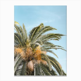 Palm Tree Against Blue Sky in Bari, Puglia, Italy | Colorful Travel Photography Canvas Print
