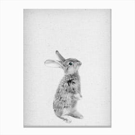 Frolein Rabbit I Canvas Print