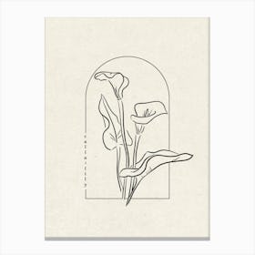 Calla Lily Flower Canvas Print