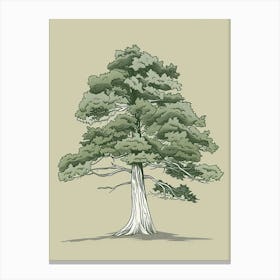 Cedar Tree Minimalistic Drawing 4 Canvas Print