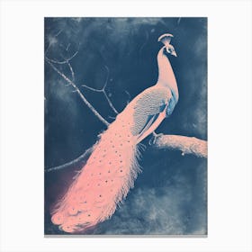 Blue & Pink Peacock On A Tree 2 Canvas Print