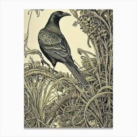 Crow Haeckel Style Vintage Illustration Bird Canvas Print
