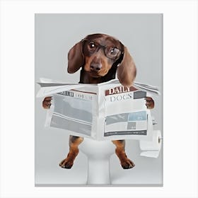 Dachshund Reading Newspaper Canvas Print