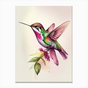 Anna S Hummingbird Retro Drawing 1 Canvas Print