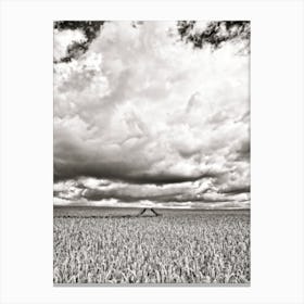 Field Barley Skyscape (2008) Canvas Print