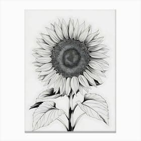 Sunflower 21 Canvas Print