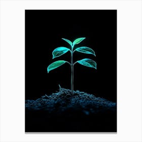 Small Plant Growing On The Ground Canvas Print