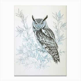 Collared Scops Owl Drawing 1 Canvas Print