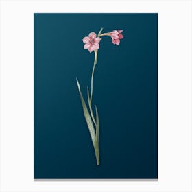 Vintage Sword Lily Botanical Art on Teal Blue Canvas Print