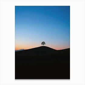 Lone Tree 9 Canvas Print