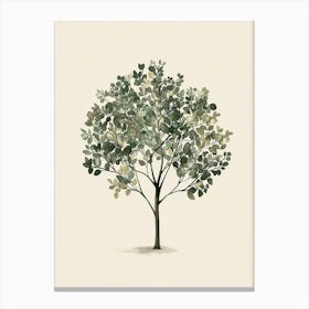 Boxwood Tree Minimal Japandi Illustration 1 Canvas Print