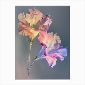 Iridescent Flower Lisianthus 2 Canvas Print