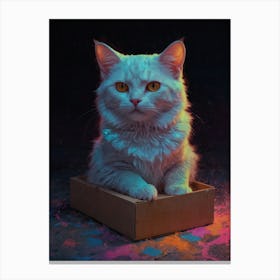 Cat In A Box 6 Canvas Print