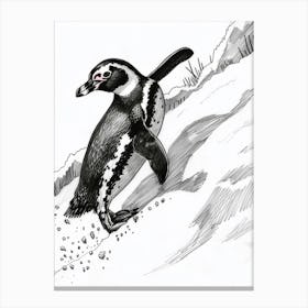 African Penguin Sliding Down Snowy Slopes 7 Canvas Print