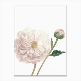 Watercolour Flower On White 14 Canvas Print