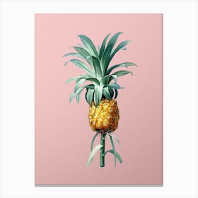 Vintage Pineapple Botanical on Soft Pink n.0918 Canvas Print