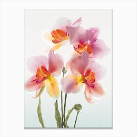 Orchids Flowers Acrylic Painting In Pastel Colours 8 Canvas Print
