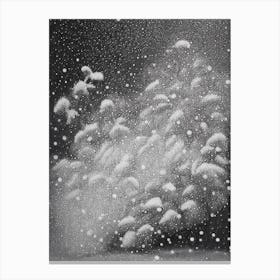 Graupel, Snowflakes, Black & White 4 Canvas Print