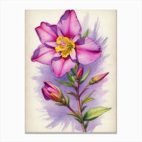 Columbine Flower Canvas Print