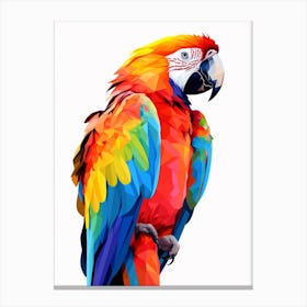 Colourful Geometric Bird Macaw 1 Canvas Print