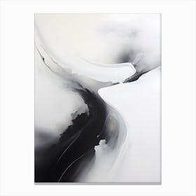 Abstract Black And White Painting Canvas Print