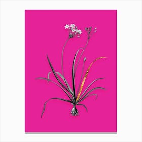 Vintage Allium Fragrans Black and White Gold Leaf Floral Art on Hot Pink n.1170 Canvas Print