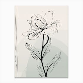 Gladioli Line Art Flowers Illustration Neutral 15 Canvas Print