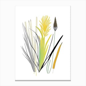 Lemon Grass Spices And Herbs Minimal Line Drawing 1 Canvas Print