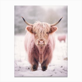 Highland Cow Snow Portrait Pink Filter 1 Canvas Print