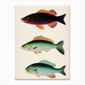 Driftfish Vintage Poster Canvas Print