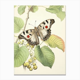 Storybook Animal Watercolour Butterfly 1 Canvas Print