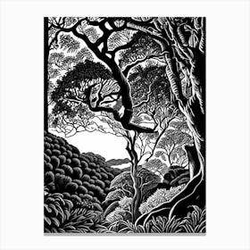 Atherton Tableland S Curtain Fig Tree, Australia Linocut Black And White Vintage Canvas Print