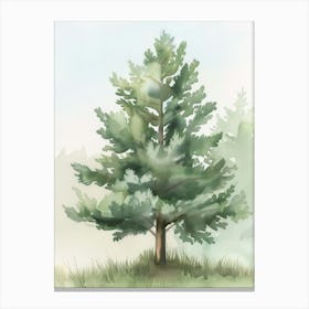 Balsam Tree Atmospheric Watercolour Painting 4 Canvas Print