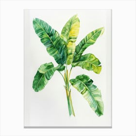 Banana Leaf Painting Canvas Print