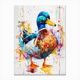 Duck Colourful Watercolour 1 Canvas Print