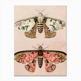 Vintage Butterflies William Morris Style 2 Canvas Print