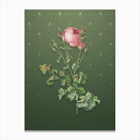 Vintage Celery Leaf Cabbage Rose Botanical on Lunar Green Pattern n.0438 Canvas Print