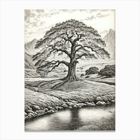 highly detailed pencil sketch of oak tree next to stream, mountain background 4 Canvas Print