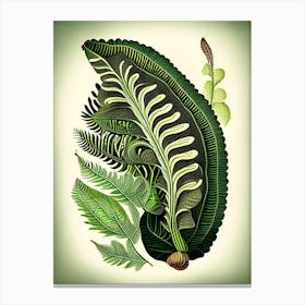 Tongue Fern Vintage Botanical Poster Canvas Print