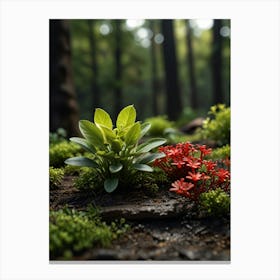 Moss And Plants In The Forest Canvas Print