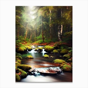 Stream In The Forest 6 Canvas Print