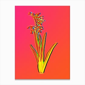 Neon Antholyza Aethiopica Botanical in Hot Pink and Electric Blue n.0565 Canvas Print