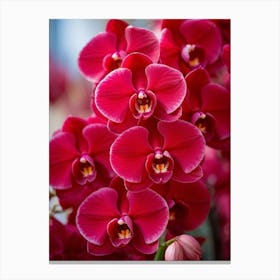 A Vibrant Explosion Of Red Orchids Petals Unfurled In Full Bloom Set Against A Contrasting Soft Fo Canvas Print